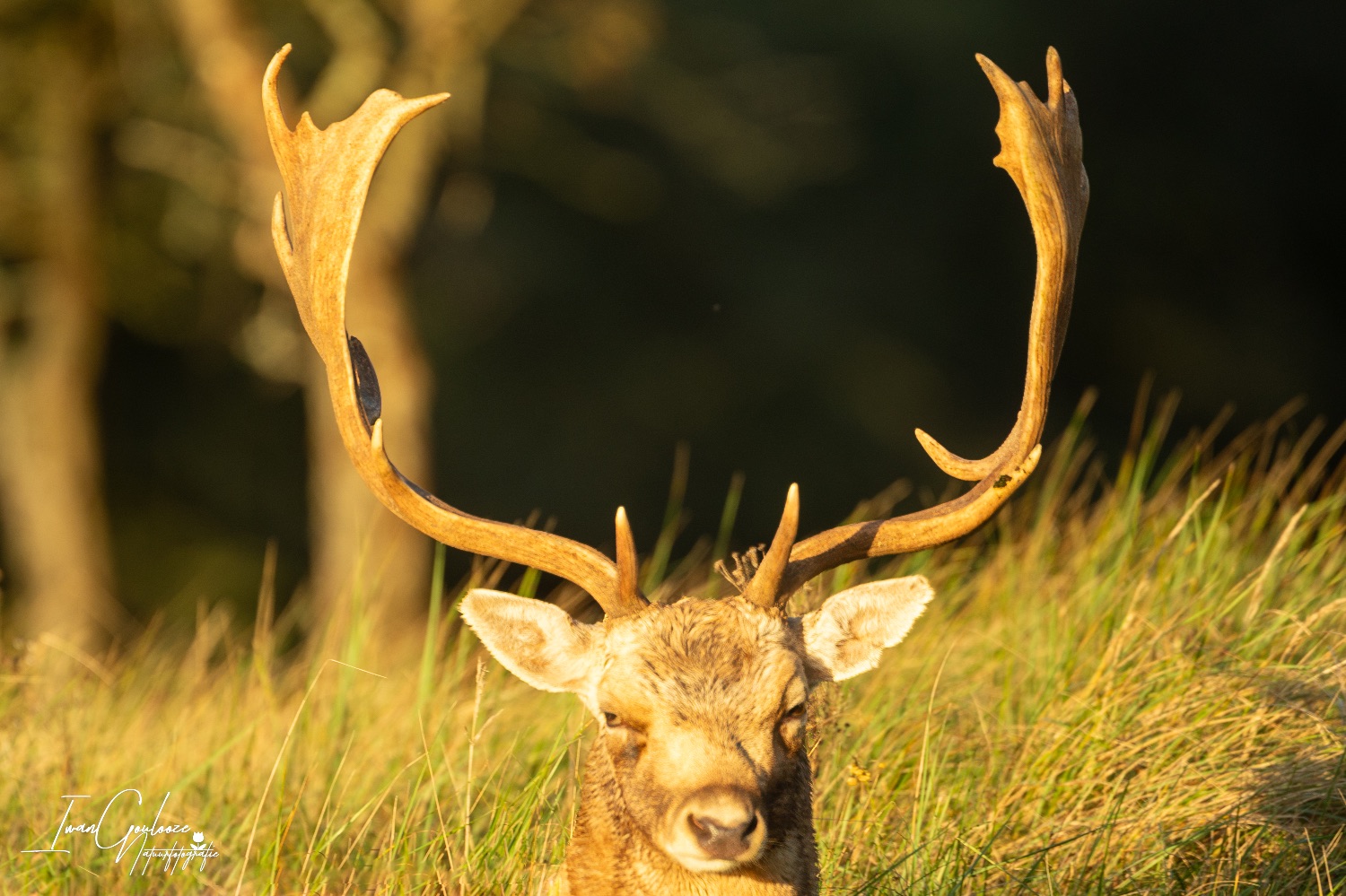 22 oktober 2023 090228  R2A8215 bewerkt